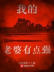 《我的老婆有点强》小说封面
