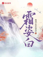 《霜姿白》小说封面