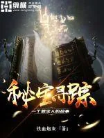 《秘宝寻踪》小说封面