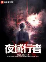 《夜域行者》小说封面