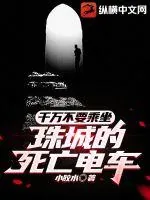 《千万不要乘坐珠城的死亡电车》小说封面