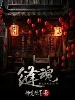 《缝魂》小说封面