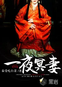 《一夜冥妻》小说封面