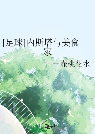 《[足球]内斯塔与美食家》小说封面