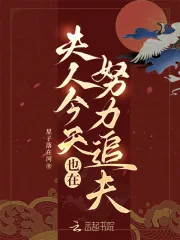《夫人今天也在努力追夫》小说封面