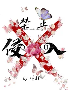 《禁止侵入》小说封面