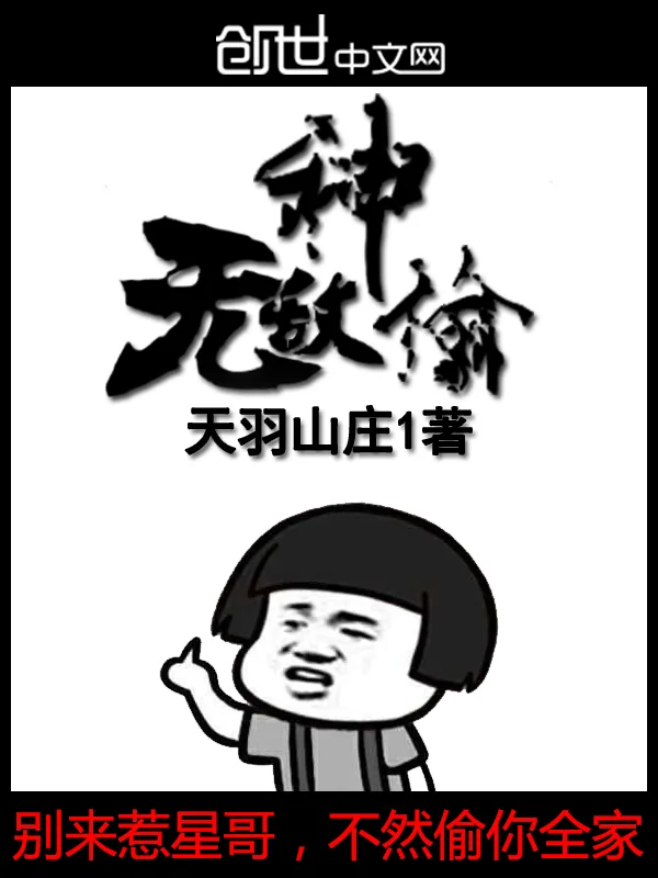 《无敌神偷》小说封面