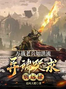 《万战老兵如洪流,异端哭求别远征》小说封面