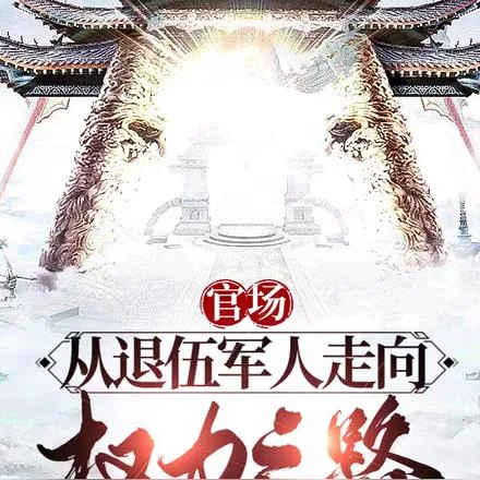 《官场：从退伍军人走上权力之路》小说封面