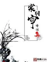 《棠玥寕诗词集》小说封面