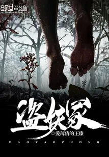 《盗妖冢》小说封面