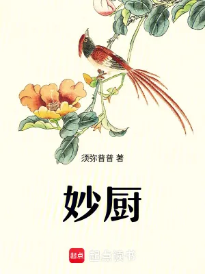 《妙厨》小说封面
