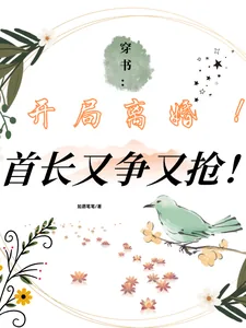《穿书：开局离婚！首长又争又抢！》小说封面