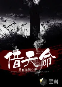 《借天命》小说封面