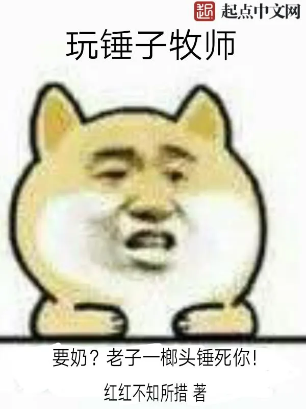 《玩锤子牧师》小说封面