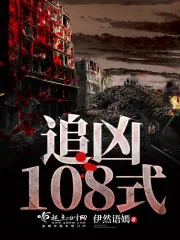 《追凶108式》小说封面