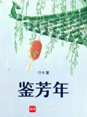 《鉴芳年》小说封面