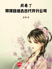 《别卷了!带项目组去古代开分公司》小说封面