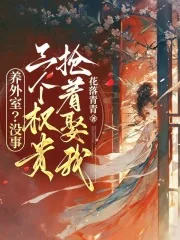 《养外室？没事！三个权贵抢着娶我》小说封面