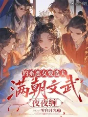 《钓系恶女要选夫,满朝文武夜夜缠》小说封面