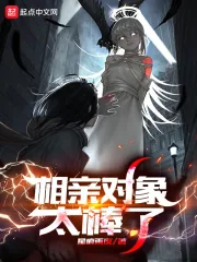 《相亲对象太棒了》小说封面
