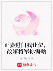 《正妻进门我让位,改嫁将军你悔啥》小说封面