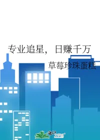 《专业追星,日赚千万》小说封面