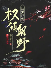 《从黑户到权倾朝野》小说封面