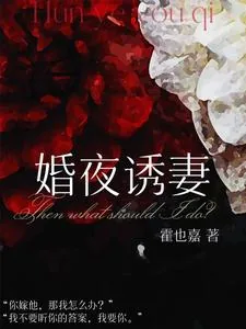 《婚夜诱妻》小说封面