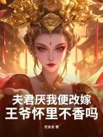 《夫君厌我便改嫁,王爷怀里不香吗?》小说封面