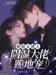 《娇娇太迷人,阴湿大佬跪地宠》小说封面