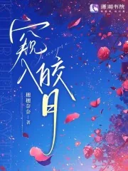 《窥入皎月》小说封面