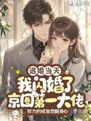 《退婚当天,我闪婚了京圈第一大佬》小说封面
