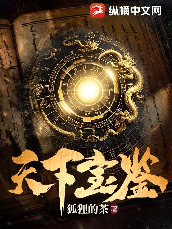 《天下宝鉴》小说封面