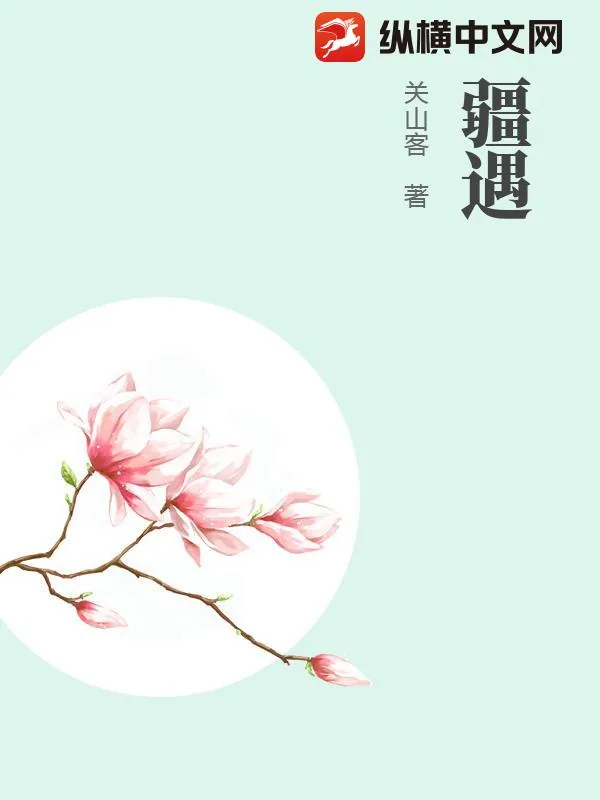 《疆遇》小说封面