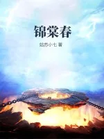 《锦棠春》小说封面