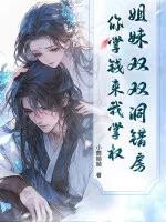 《姐妹双双洞错房,你掌钱来我掌权!》小说封面