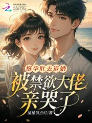 《挺孕肚去退婚，被禁欲大佬亲哭了》小说封面