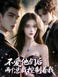 《不爱他们后，两个总裁控制着我》小说封面