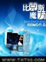 《比克斯魔方》小说封面