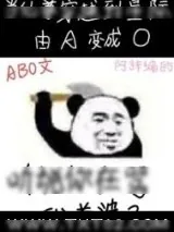 《听说你在骂我老婆？》小说封面