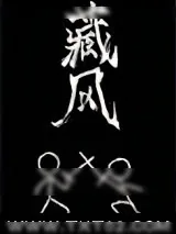 《藏风》小说封面