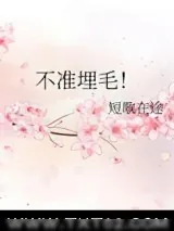 《不准埋毛！》小说封面