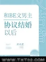 《和BE文男主协议结婚后》小说封面