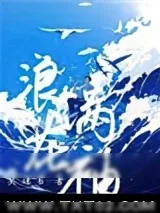 《浪花满袖》小说封面