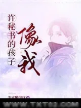 《许秘书的孩子，像我》小说封面