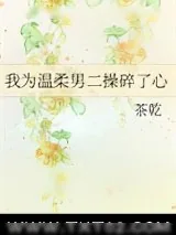 《我为温柔男二操碎了心》小说封面