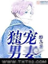 《独宠男妻》小说封面