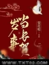 《岁事当长贺》小说封面