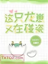 《这只龙崽又在碰瓷》小说封面
